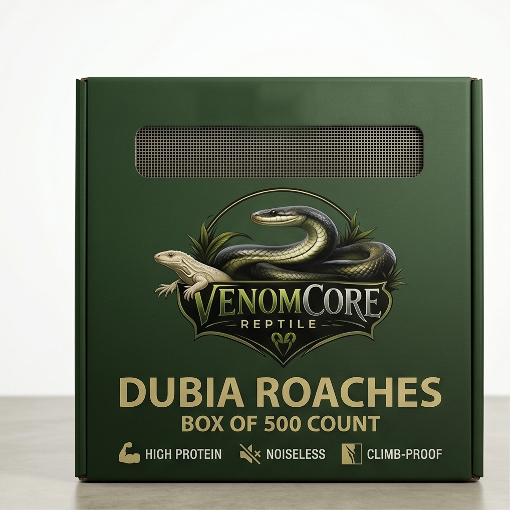 Live Adult Dubia Roaches (Box of 500)