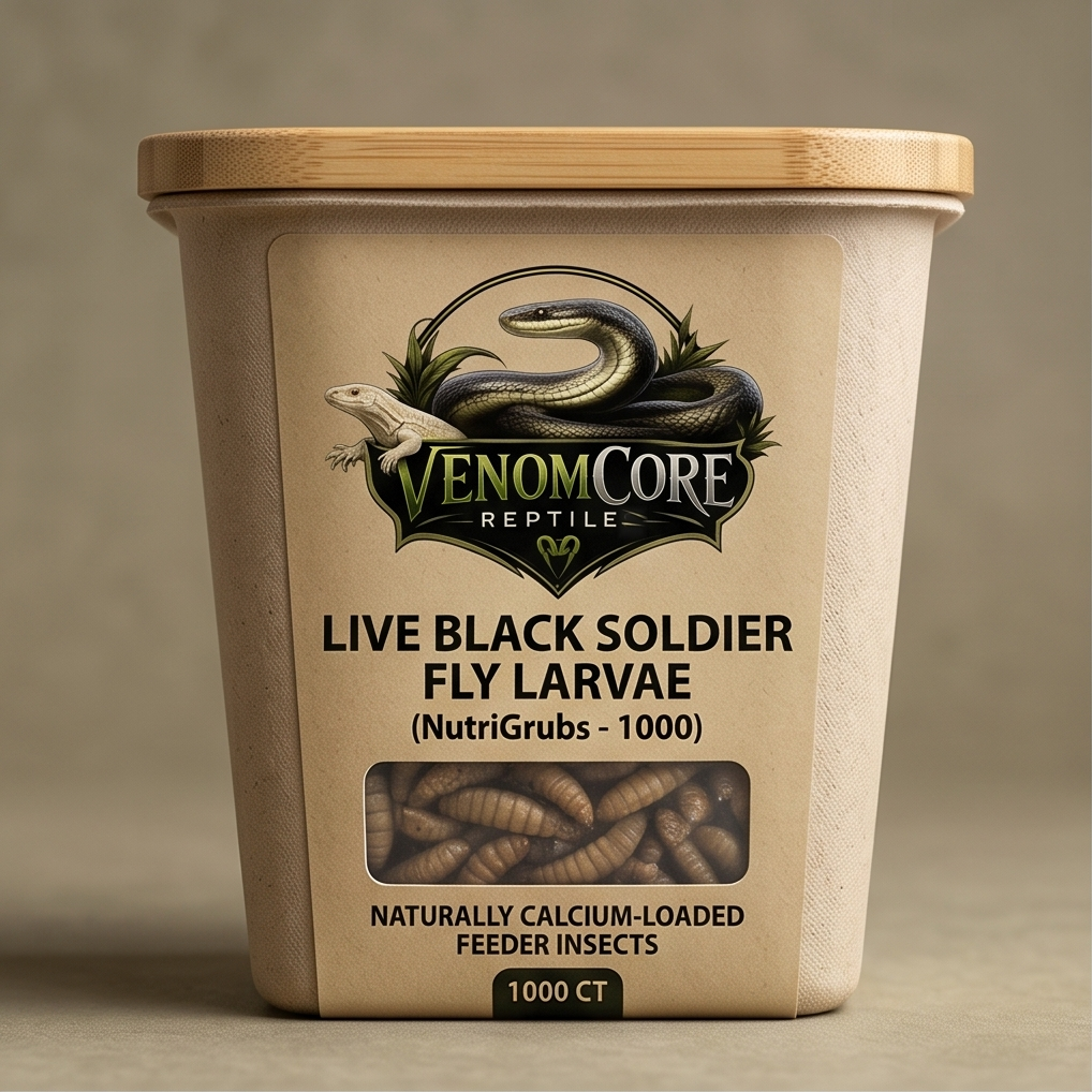 Live Black Soldier Fly Larvae (NutriGrubs - 1000)