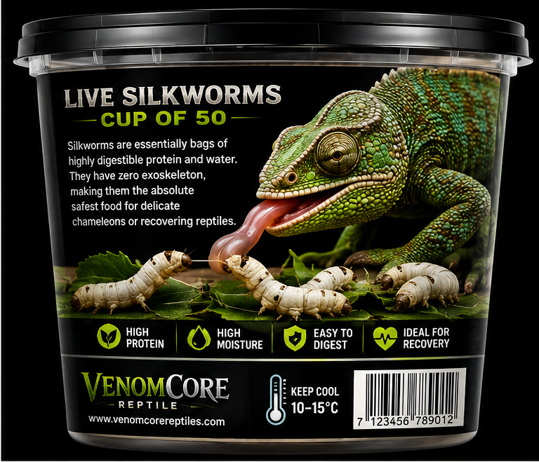 Live Silkworms (Cup of 50)