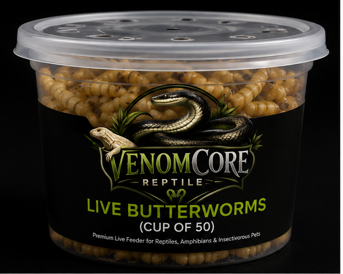 VenomCore Live Butterworms (Cup of 50)